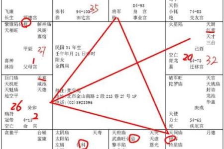 紫薇斗数12神