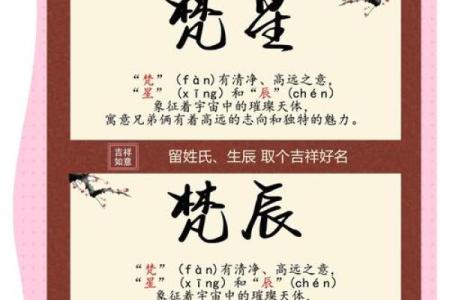 双胞胎宝宝起名注意7个事项和三个准则-姓名学-华易网姓名