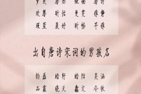 属兔寅时出生的男孩如何起名比较好姓名