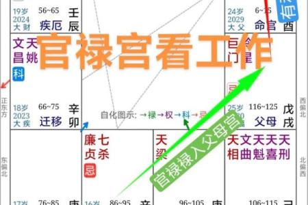 紫薇斗数看流年工作