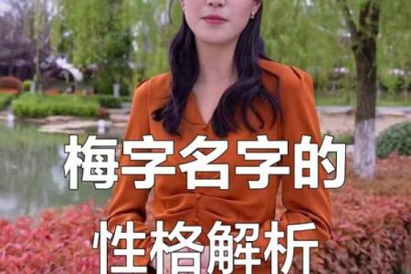 姓梅的名人-姓名学-华易算命网姓名