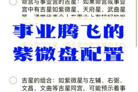 紫薇星入事业宫详解