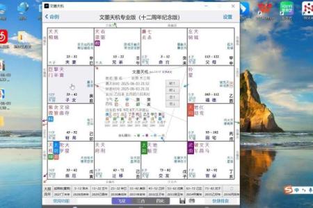 成龙紫薇斗数