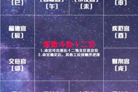 紫微斗数之：论事业