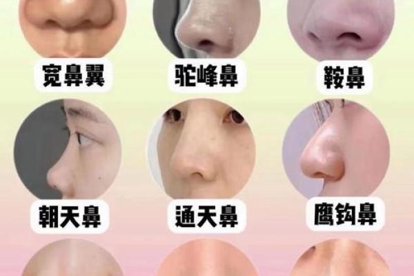 鼻毛算命,鼻毛长代表什么