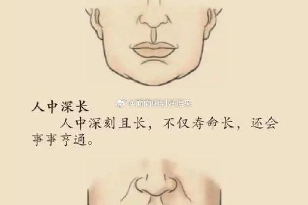 八字夫妻宫,太阳夫妻宫另一半特征面相