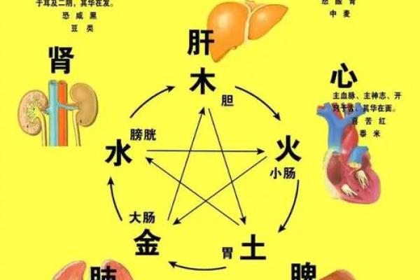 八字与疾病的关系，易生病的八字有哪些特征？_1