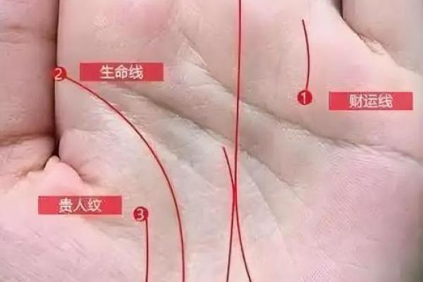手相算命：生命线断开图解