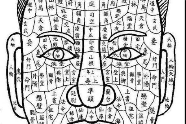 胸部痣相图解算命