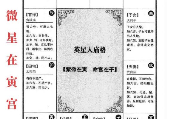 成毅紫薇斗数