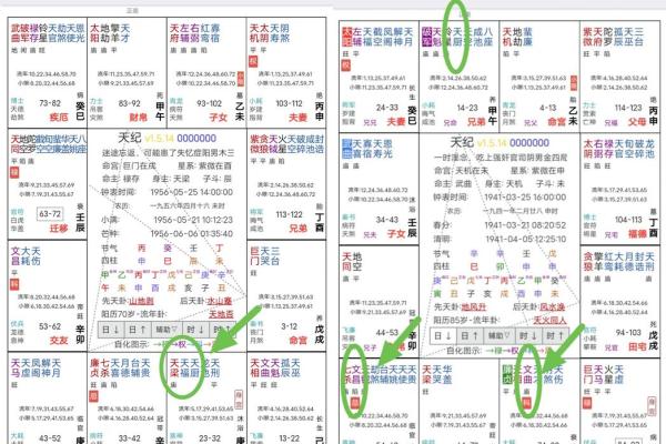 紫微斗数诸星落命宫之：天哭、天虚星详解