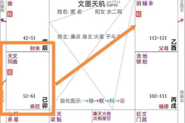 紫微斗数天府在疾厄宫