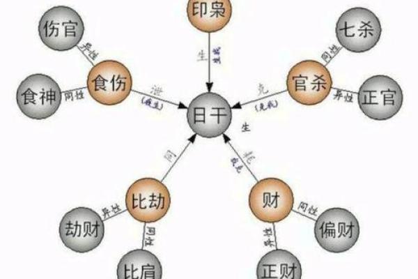 八字中的十神
