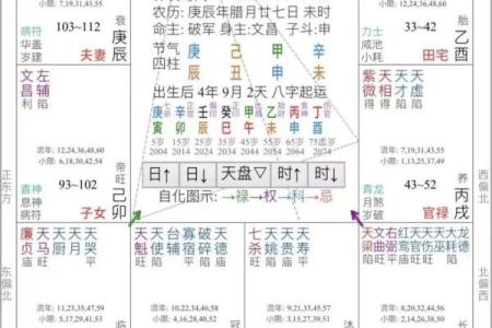 紫微斗数诸星落诸宫之：破军星夫妻宫详解
