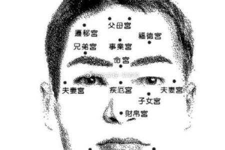 八字夫妻宫,太阳夫妻宫另一半特征面相