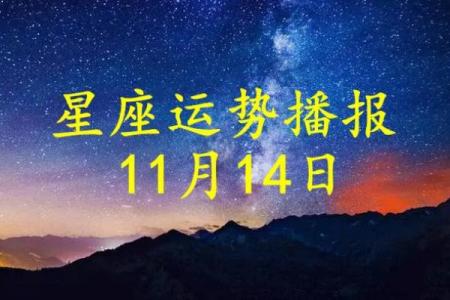 11月14日是什么星座