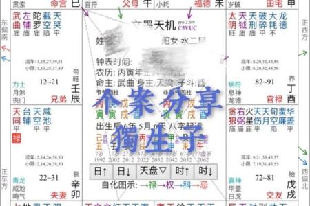 360紫薇斗数事业