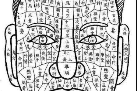 胸部痣相图解算命