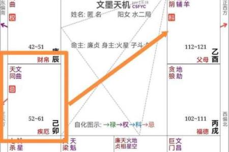 紫微斗数天府在疾厄宫
