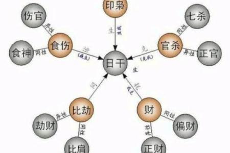 八字中的十神