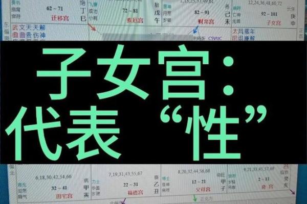 紫薇斗数子女宫空