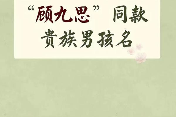 2019年3月18号亥时出生的男孩如何起名姓名