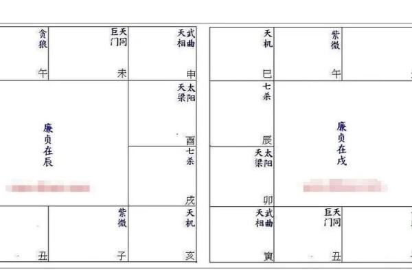 紫微斗数财帛宫廉贞破军  紫微斗数财帛宫代表什么