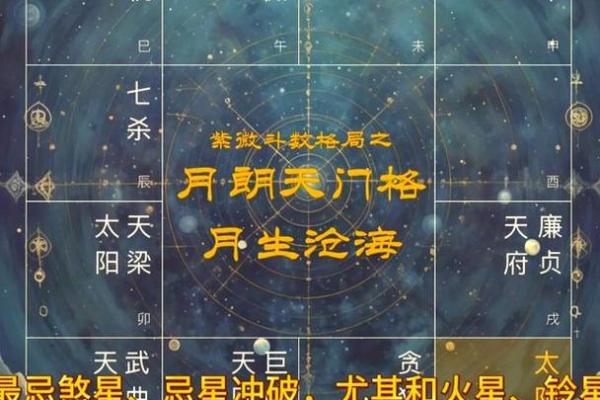 紫薇斗数中官禄