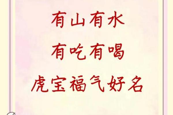 晚上9点出生的属虎男孩如何起名，宜用什么字姓名