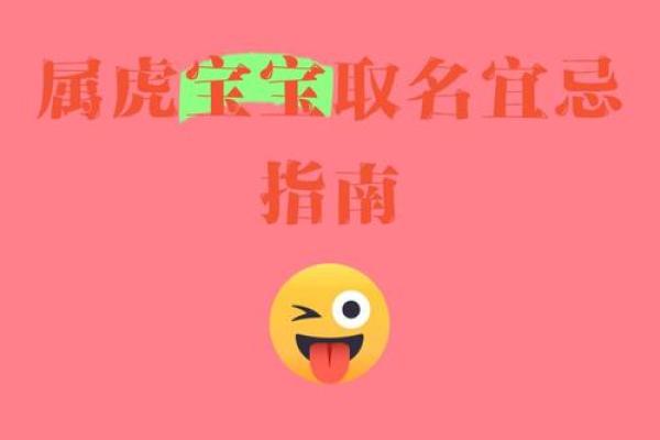 晚上9点出生的属虎男孩如何起名，宜用什么字姓名