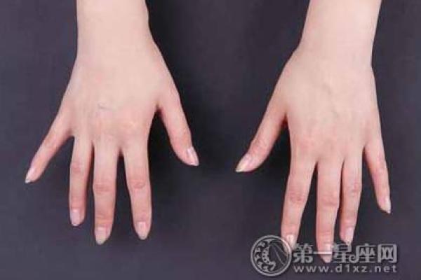 手型算命：土型手人的性格与命运