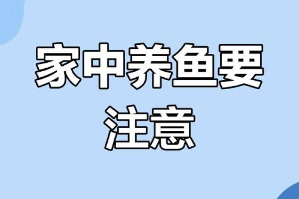 家庭中养鱼，要注意的风水详解