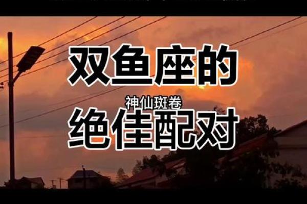 双鱼座和哪个星座最配 和哪个星座最合适