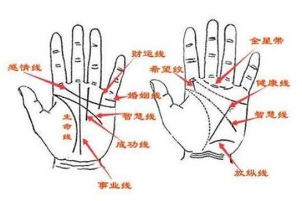 怎么算命用手就行