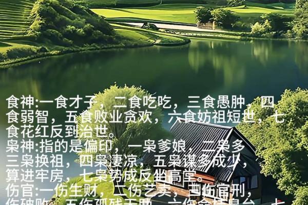 用风水看生活