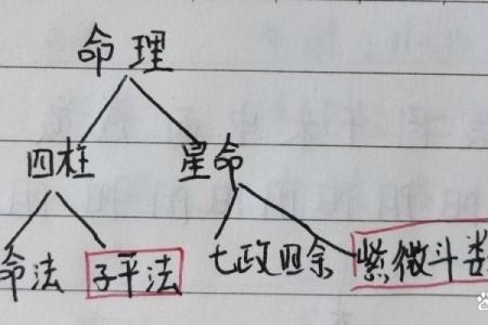 【揭秘】八字与体型关系的重要性