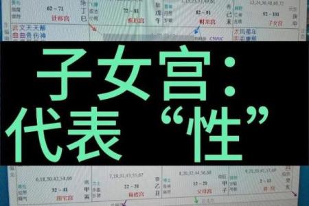紫薇斗数子女宫空