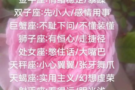12星座女的爱情傻“聪明”