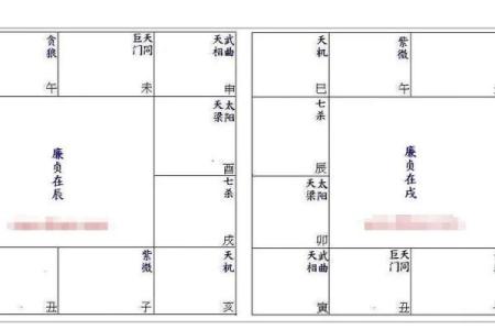紫微斗数财帛宫廉贞破军  紫微斗数财帛宫代表什么
