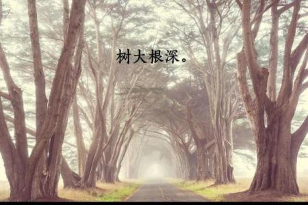 算命说我根基深厚啥意思