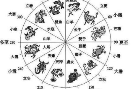 属蛇的十二星座