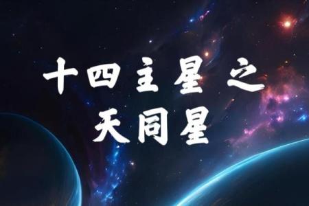东有小山紫微斗数第8课：北斗星系②（太阳、武曲、天同、廉贞）