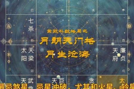 紫薇斗数中官禄