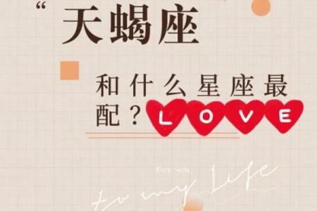 天蝎座和什么星座比较合得来 天蝎座不合的星座