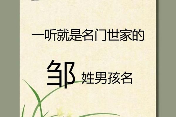 邹姓女孩名字大全-邹姓女孩起名字大全-邹姓名字大全姓名