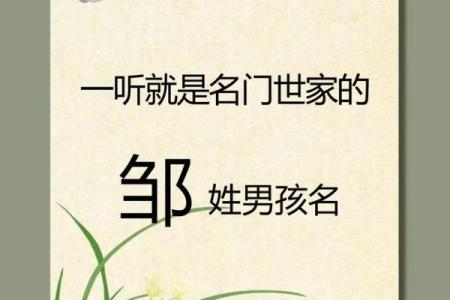 邹姓女孩名字大全-邹姓女孩起名字大全-邹姓名字大全姓名