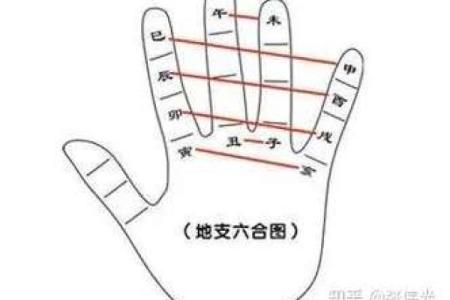 怎么用手算命
