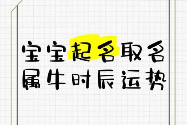晚上12点出生的属牛男孩适合用什么字取名姓名