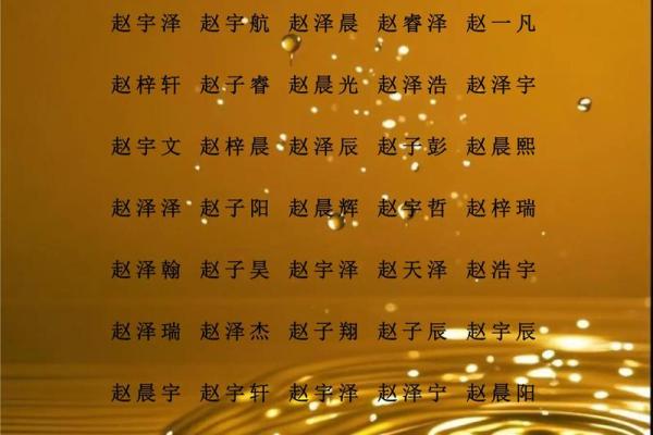 赵姓男孩名字大全-赵姓男孩起名字大全-赵姓名字大全姓名 赵姓男孩名字大全-赵姓男孩起名字大全-赵姓名字大全姓名