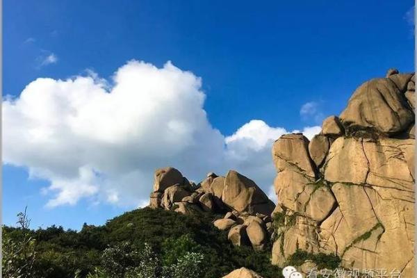 算命的说花园带天狗